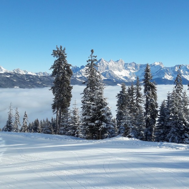 Blick von Bergstation zum Dachstein - Fotograf: Familie Hochwimmer